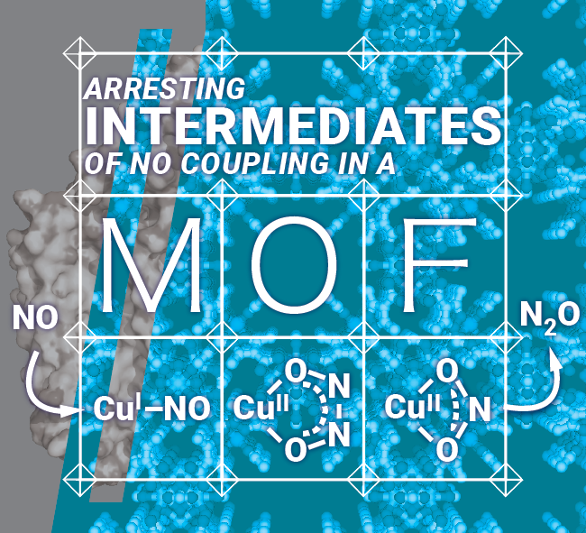 NO disproportionation at mononuclear Cu center