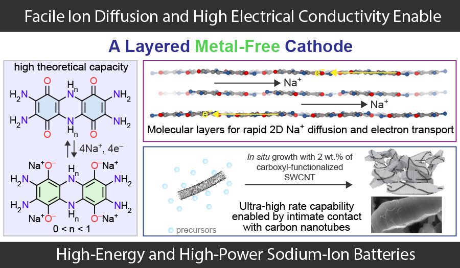 TAQ Soidum-Ion Battery