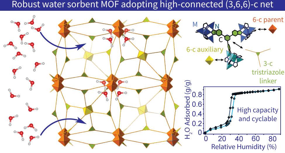Robust water sorbent MOF water harvesting