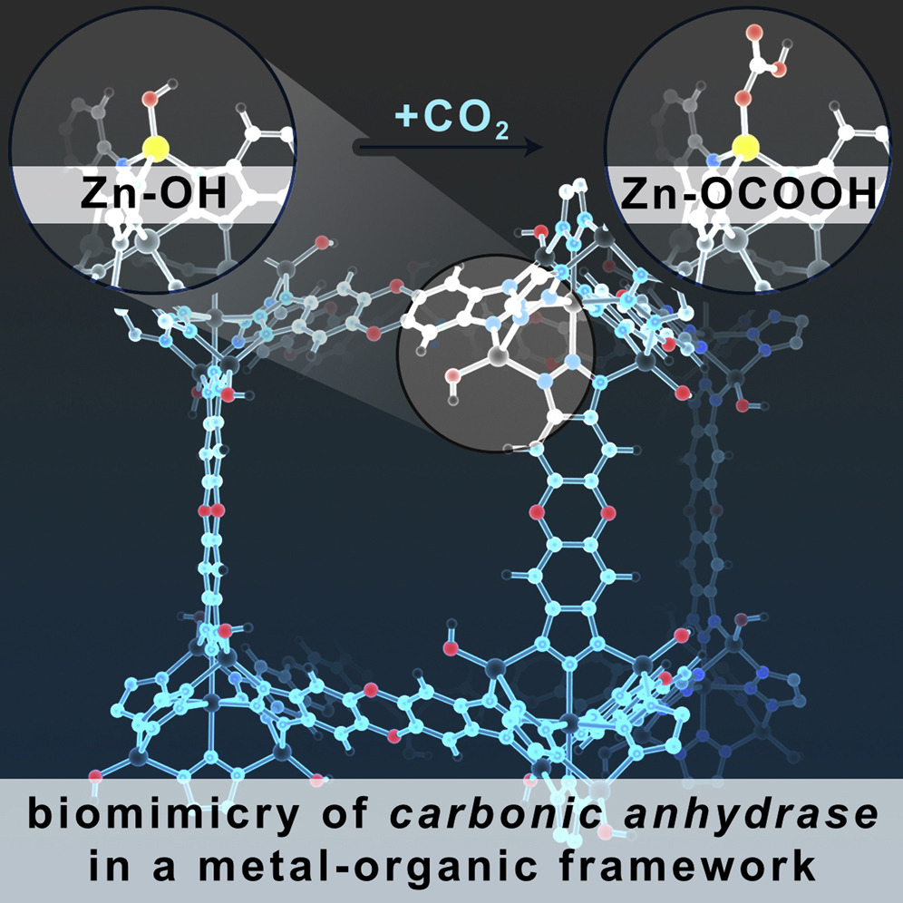 Carbonic anhydrase mimic MOF metal-organic framework