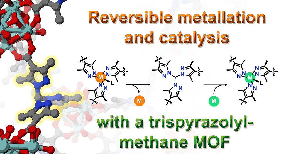 trispyrazolylmethane MOF TPM